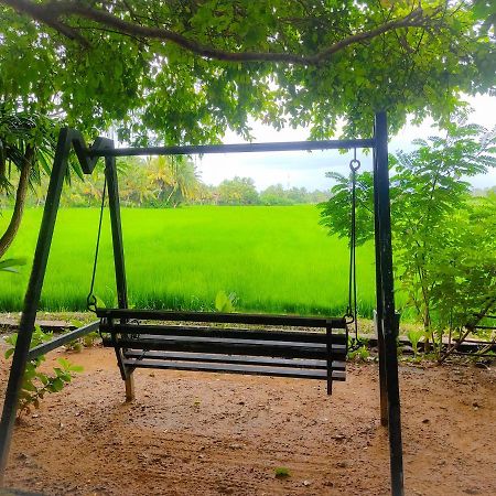 V Cabanas & Yala Safari Place 티사마하라마 외부 사진